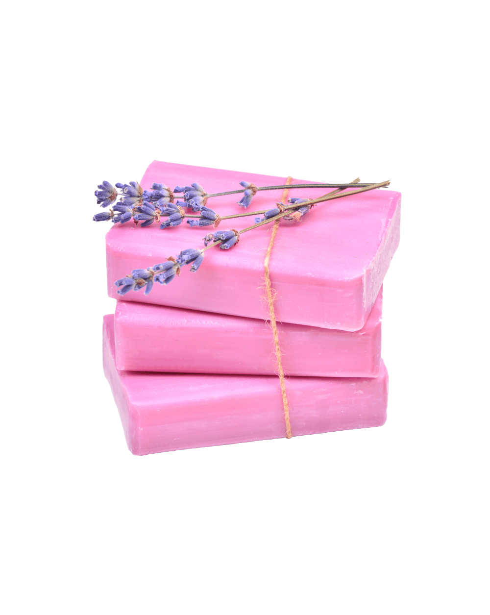 Shop Primary Image Shop Primary Image